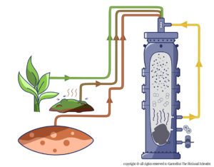 Illustration-infographic-cambridge-university-bio-landfill-natural-gas-CNT-reactor-detail-Carmelius-Fictional-Scientist